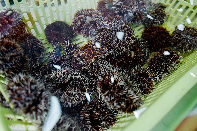 带父母去三亚游玩攻略,爸妈三亚旅游攻略