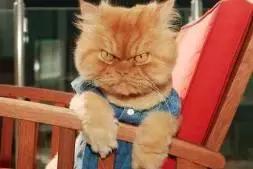 00后90后怼老板,00后怼老板几千块的工资何必拼命