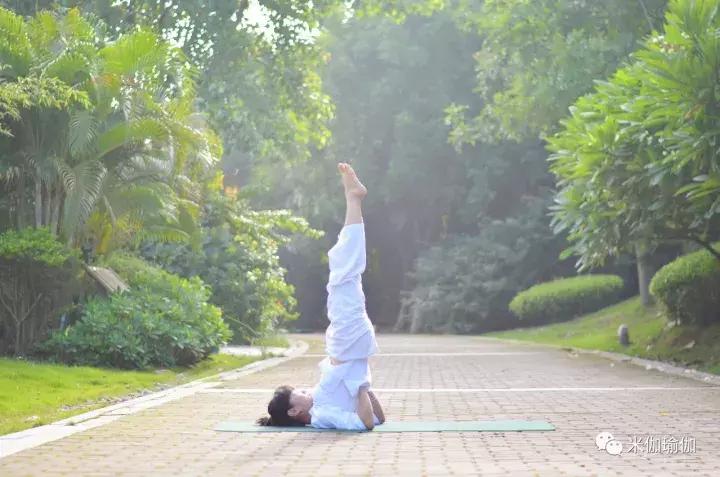 练了瑜伽会瘦吗,练了瑜伽的后果