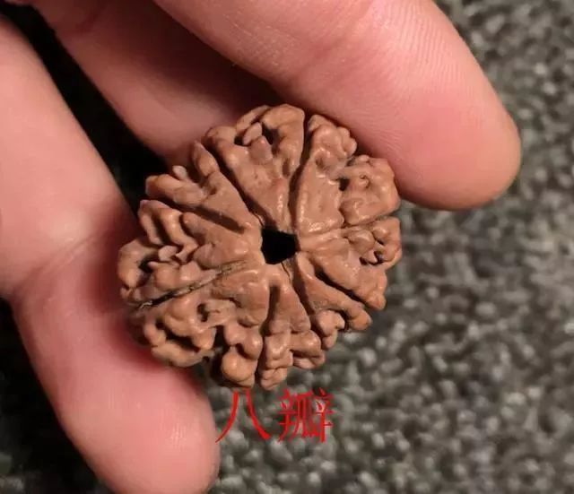 怎样区分打药的金刚菩提,金刚菩提怎么鉴别值钱