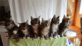 自杀vs.上市——百爪挠心的P2P网贷平台迎来了海阔天空?