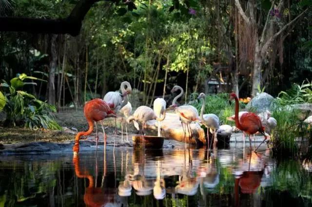 广州长隆游玩攻略最新,珠海长隆和广州长隆一起玩的攻略