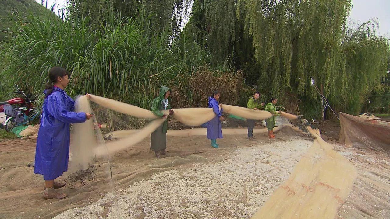 不用网不用钩就能捕到鱼？答案就在这里