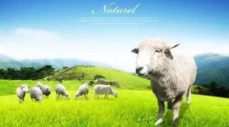 奶粉品牌注册制,通过配方注册制的奶粉品牌