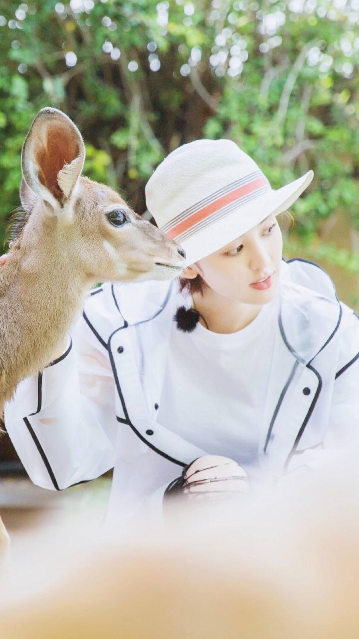 邓超对娜扎看法,娜扎和邓超一起回忆往事