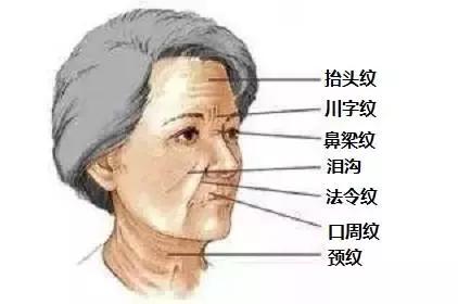 紧致肌肉的最好方法,如何提拉面部肌肉