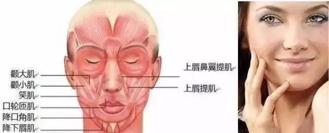紧致肌肉的最好方法,如何提拉面部肌肉