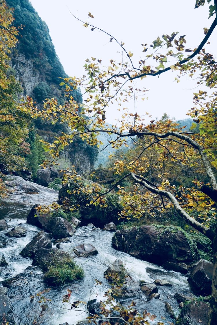 三八一日游温州最佳去处,温州三八游玩