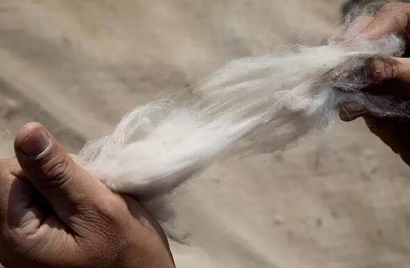 最值得购买的羊绒围巾,高端羊绒围巾正品