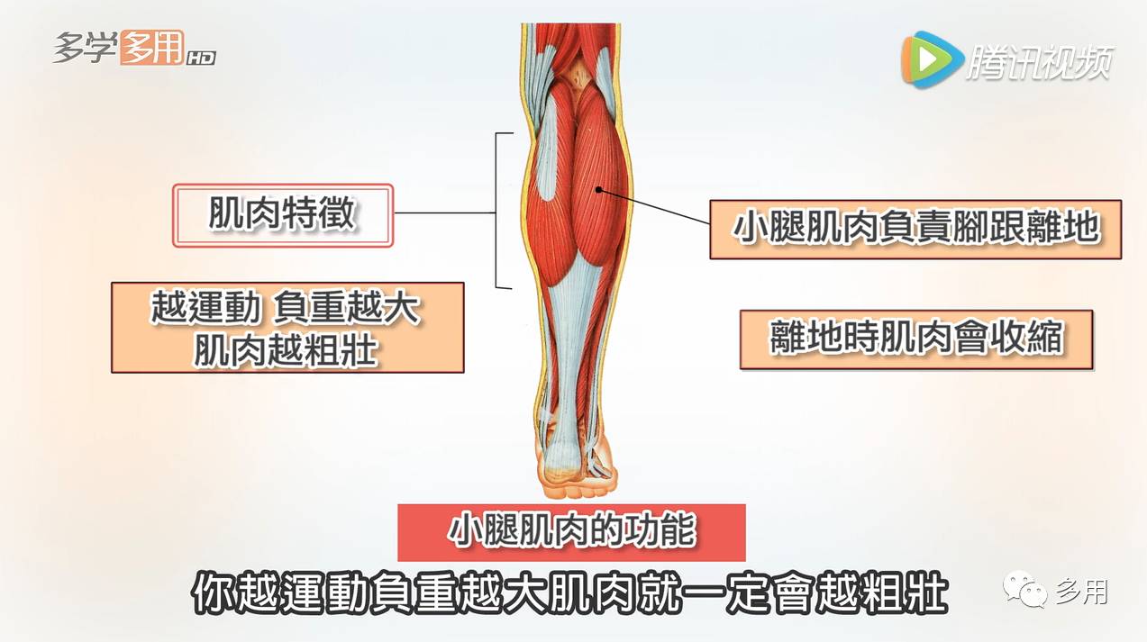 什么办法瘦小腿最快,怎么瘦小腿又快又有效
