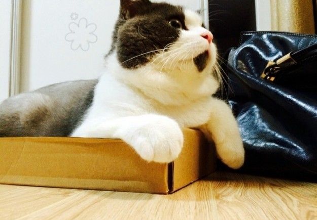 你的作品被抄袭怎么办,网站抄袭怎么投诉