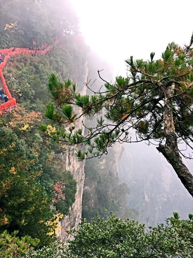 长沙张家界5天游,长沙张家界凤凰6天5晚品质游