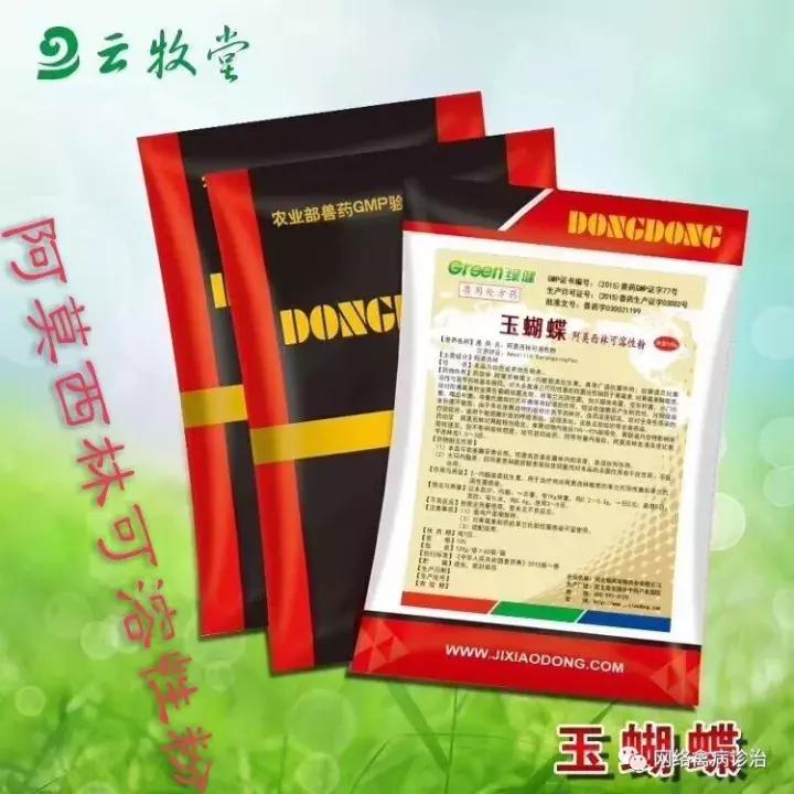 一支青霉素解决鸡场大问题,养鸡场用兽药