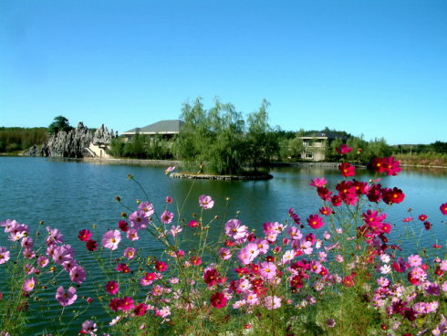 大连最值得养老的温泉,大连市内适合老人的地方