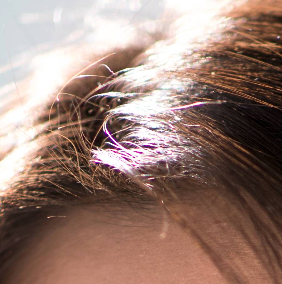 佳能85mmf1.4镜头值得购买吗,佳能新85mmf1.4s价格