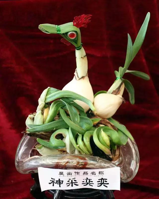 水仙花的造型艺术图片,水仙花的花语传说与诗词鉴赏