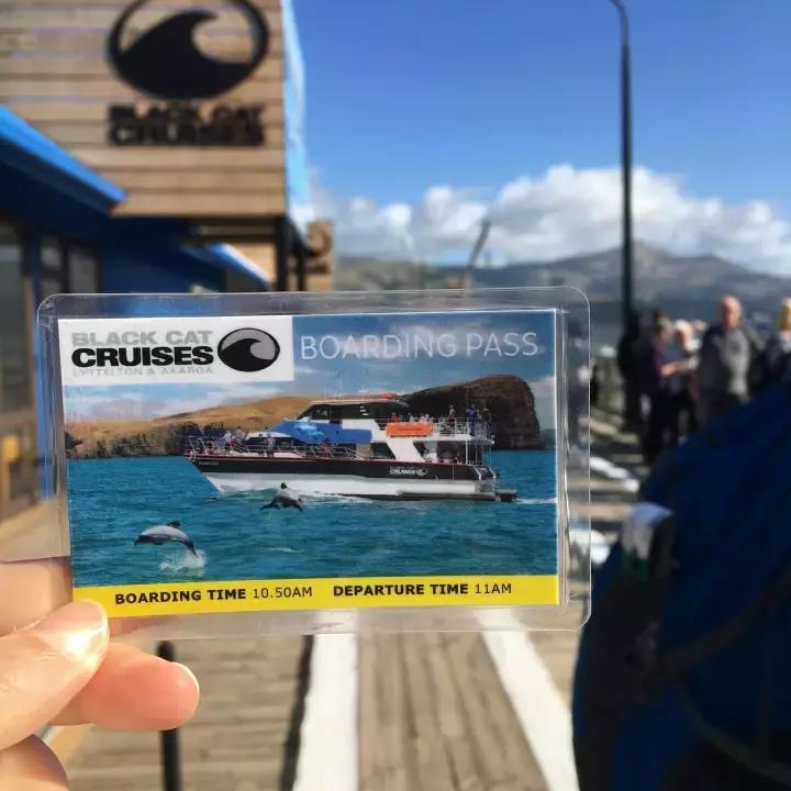 他们有钱,会玩,没有中产焦虑