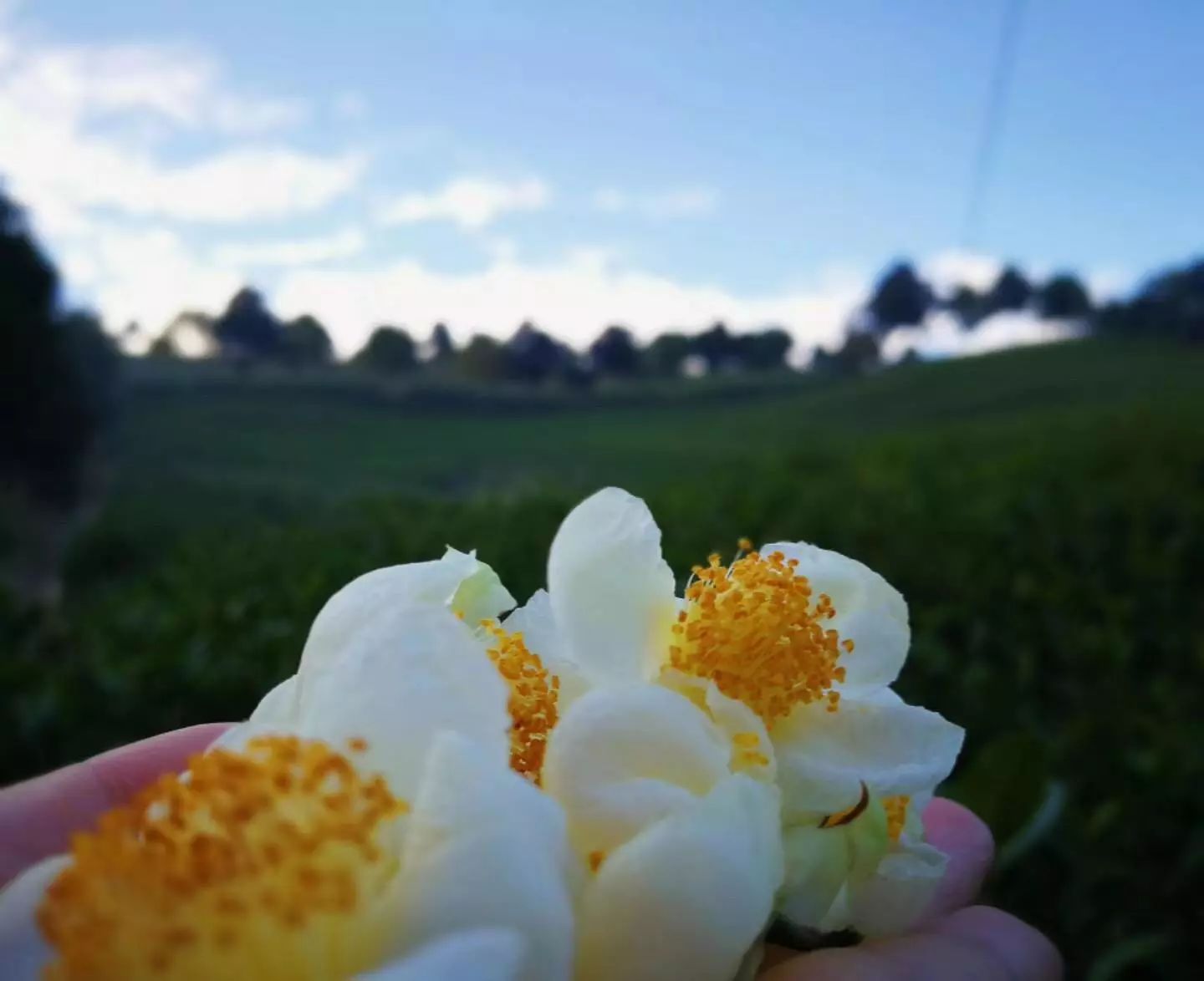 溧阳最美民宿推荐,溧阳绝美民宿