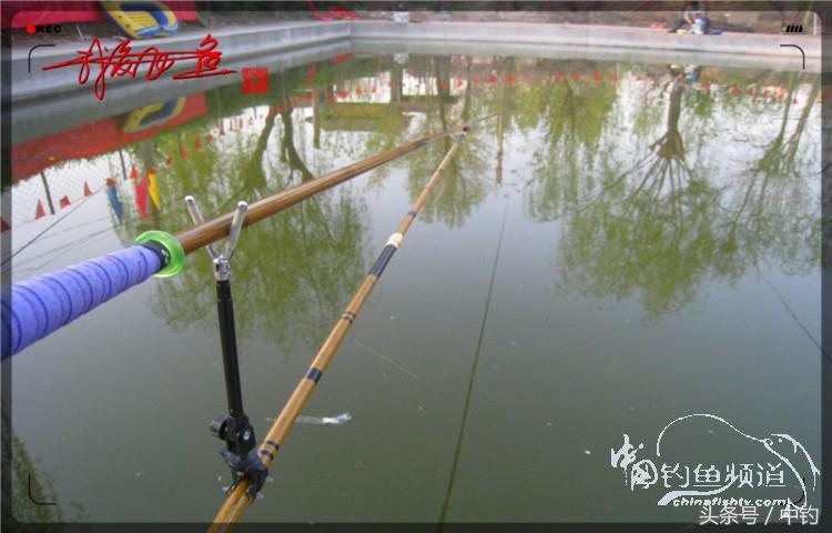 朋友相聚钓罗非,好友们相约一起钓鱼视频