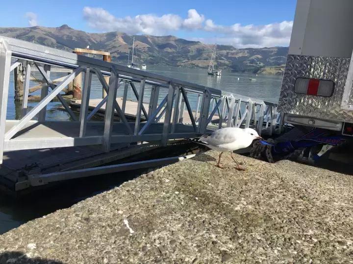 他们有钱,会玩,没有中产焦虑