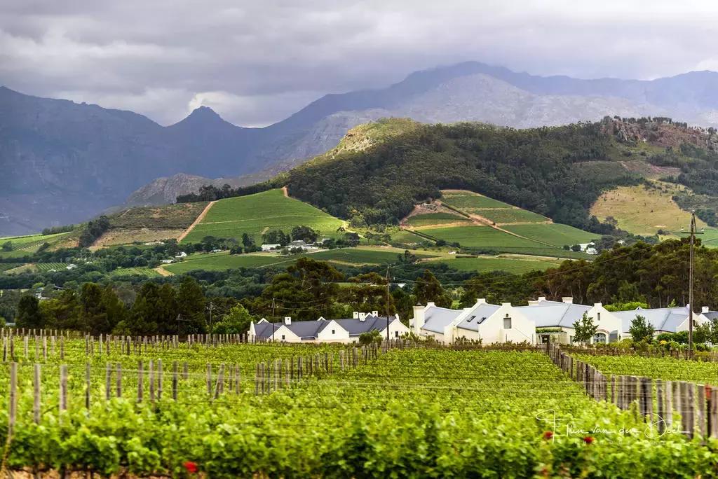 他花16年学会跟狮子交谈,而你花10天懂得了他的执著!