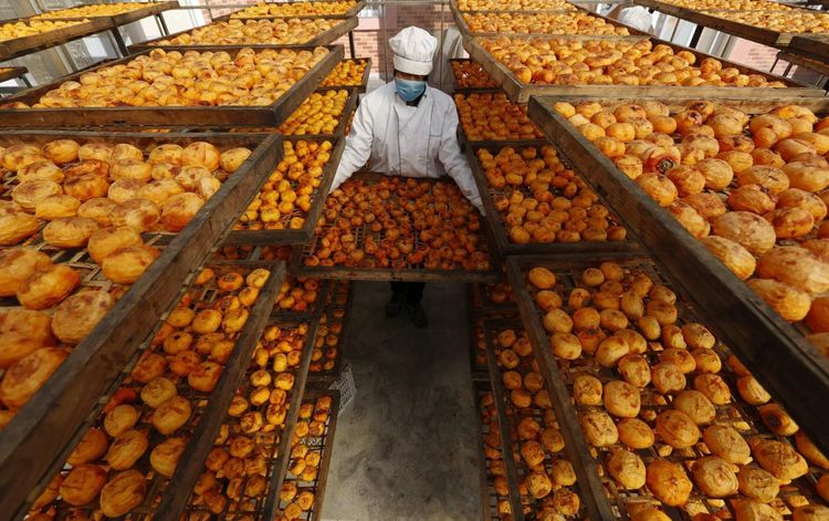 金秋沂南,诗意流淌有那么一群爱美的人,把秋季沂南送到你面前