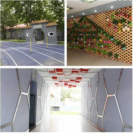 拥有三个“金帆”，做过上千个小课题，这所学校要逆天！