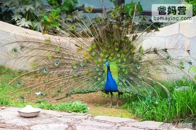 江浙沪十佳亲子酒店,适合亲子酒店推荐