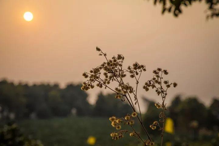 小说谍战深海第三部,深水炸弹小说完结