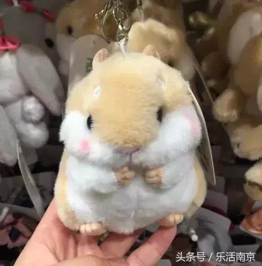 10块钱可以买到什么好物,10块钱就能买到的家居好物