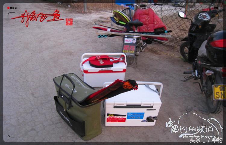 朋友相聚钓罗非,好友们相约一起钓鱼视频