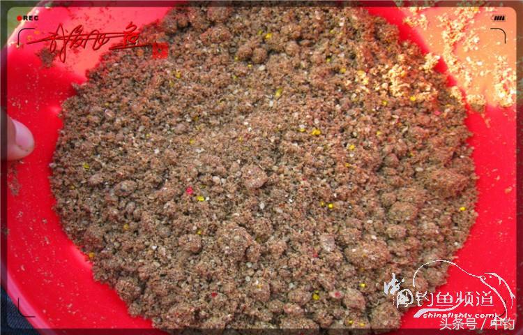 朋友相聚钓罗非,好友们相约一起钓鱼视频