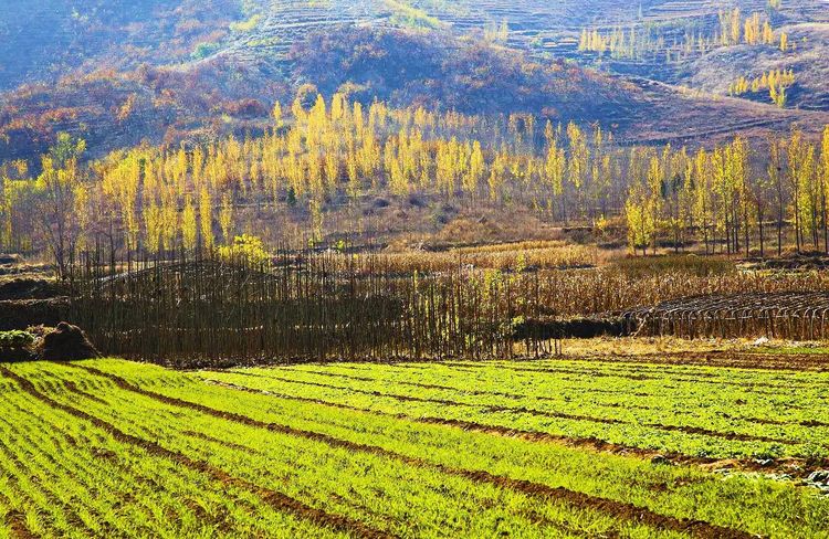 金秋沂南,诗意流淌有那么一群爱美的人,把秋季沂南送到你面前