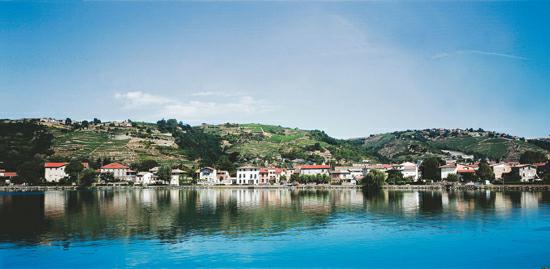 法国红酒产区，罗讷河谷产区，朗格多克-鲁西永产区