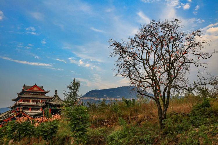 金秋沂南,诗意流淌有那么一群爱美的人,把秋季沂南送到你面前