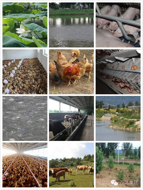 阿里巴巴和华为哪里的员工待遇好 (阿里巴巴华为员工多么)