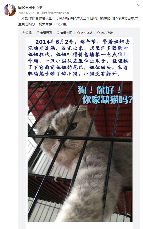 云养宠物可爱,云养宠物出现的原因