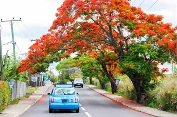 不想去旅行了是什么原因,30岁不想去旅行
