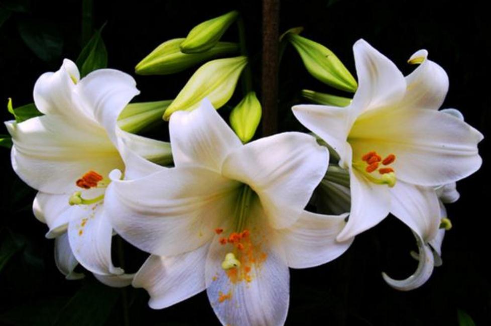 如果你现在很穷一定要做这几件事,在你最穷最困难的时候应该怎么做