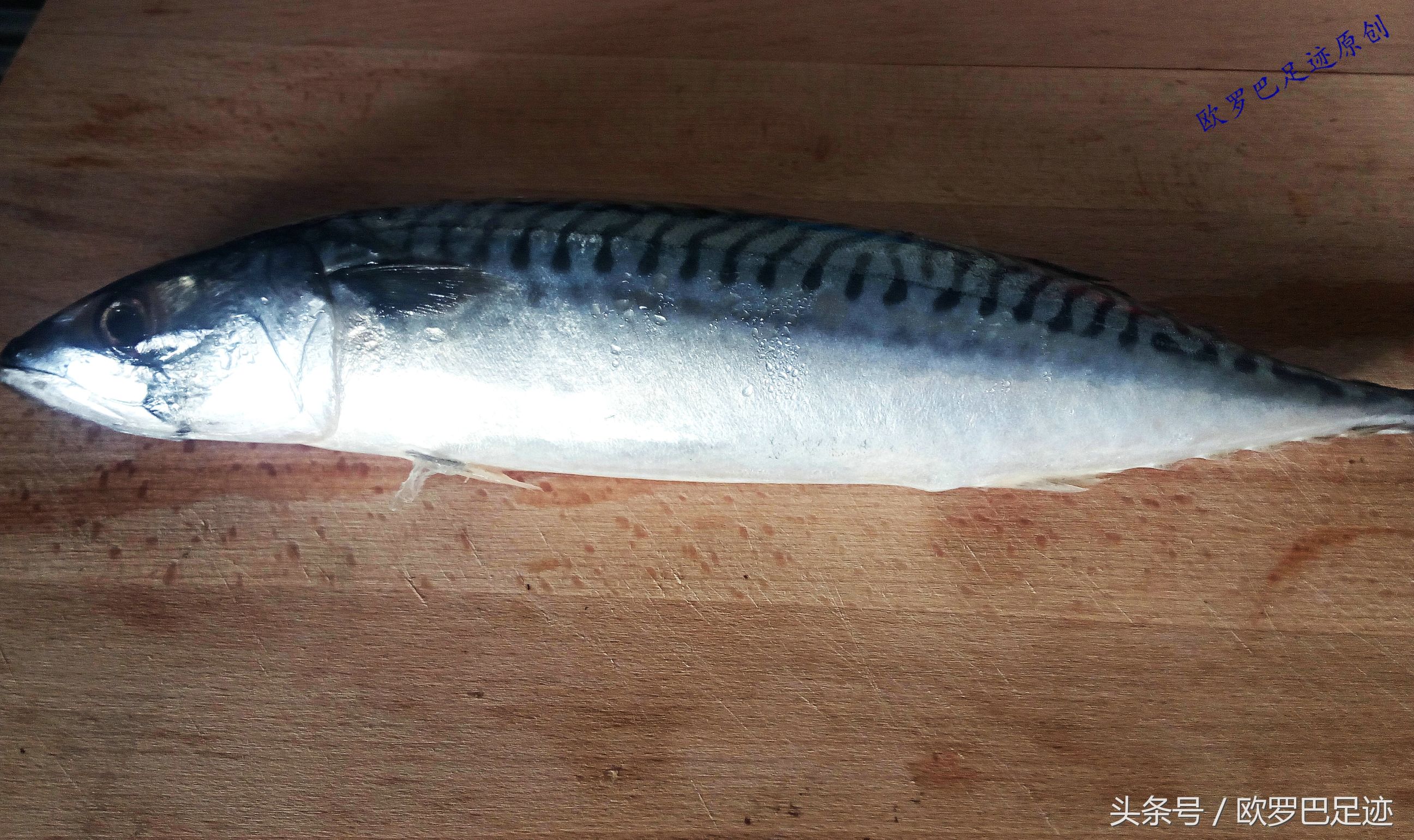 中国厨子邂逅欧洲小镇海鲜市，不认识的鱼炖起来也不手软