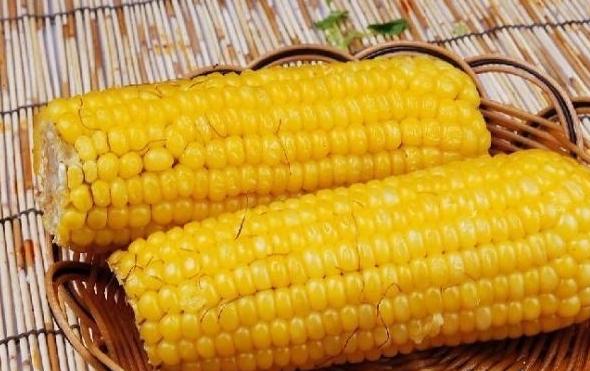 调理脾胃的营养粥,长期调理脾胃的养生粥