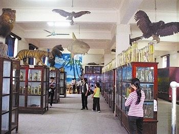 十大最美校园深圳大学,探访最美大学武汉大学