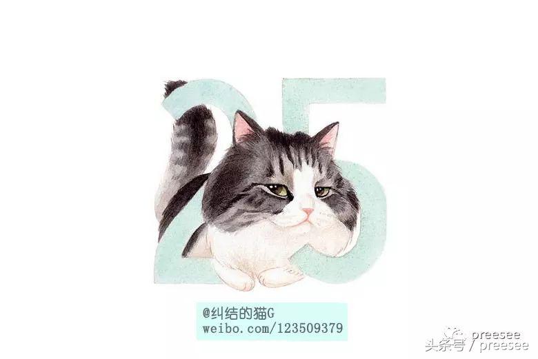 北京｜爱猫却不能亲近，于是她画出了一群萌猫
