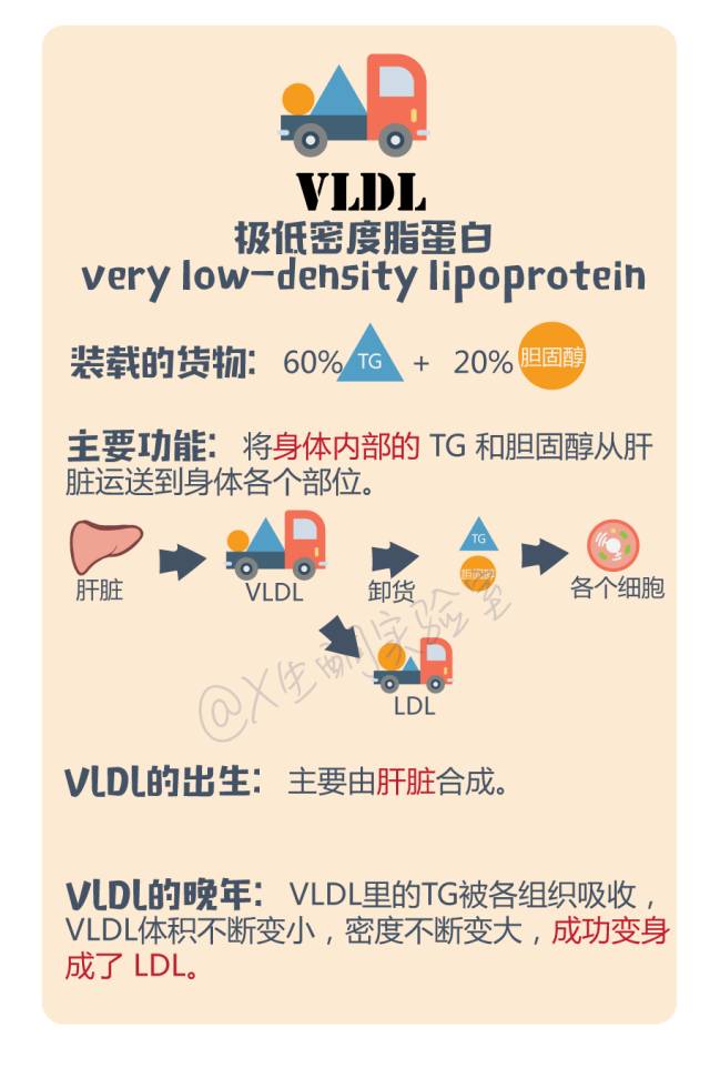 拿什么拯救你我的灵魂,拿什么拯救你的智商