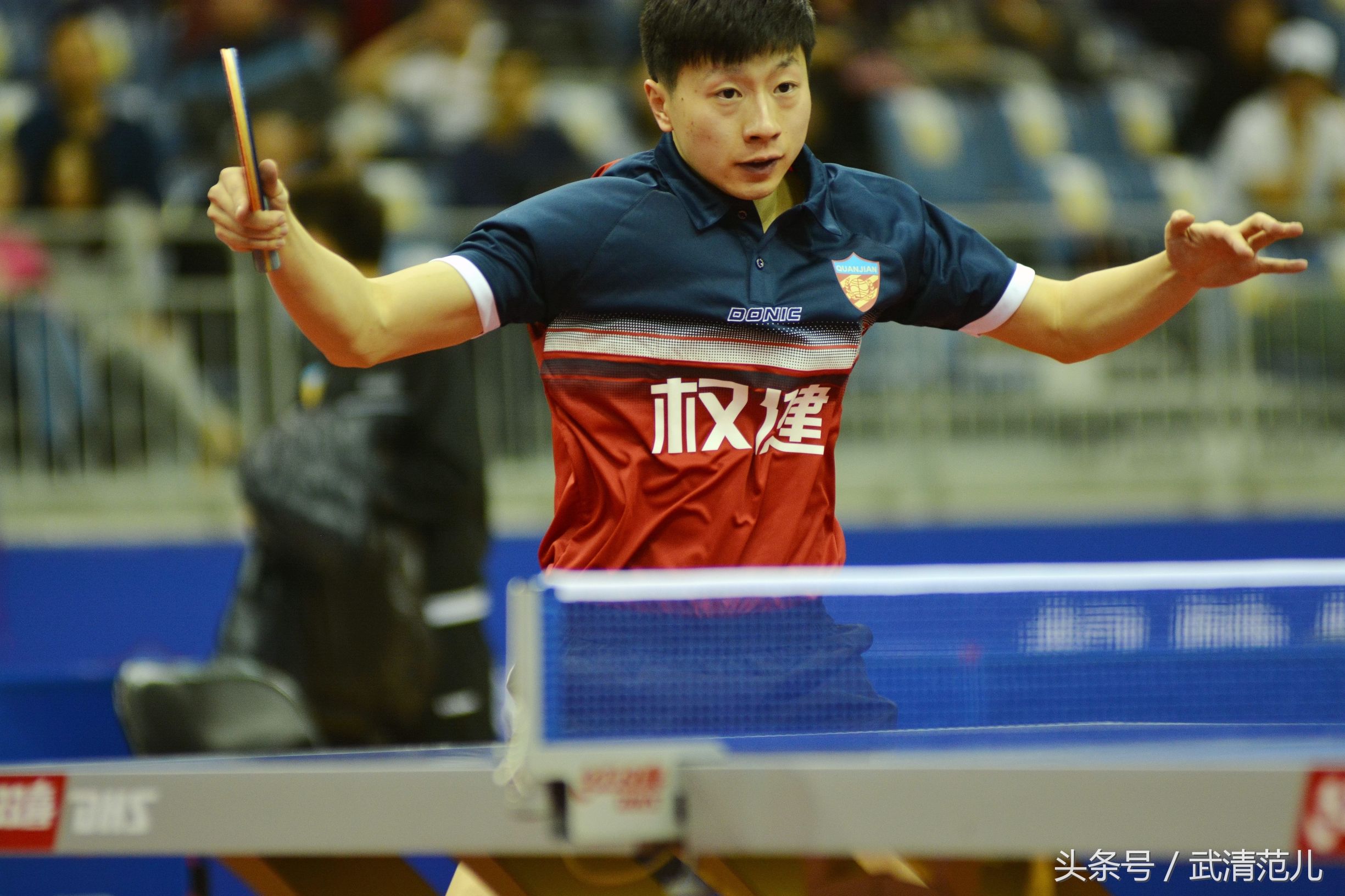 马龙亮相权健,马龙天津权健主场