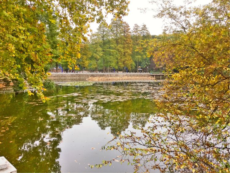 十大最美校园深圳大学,探访最美大学武汉大学