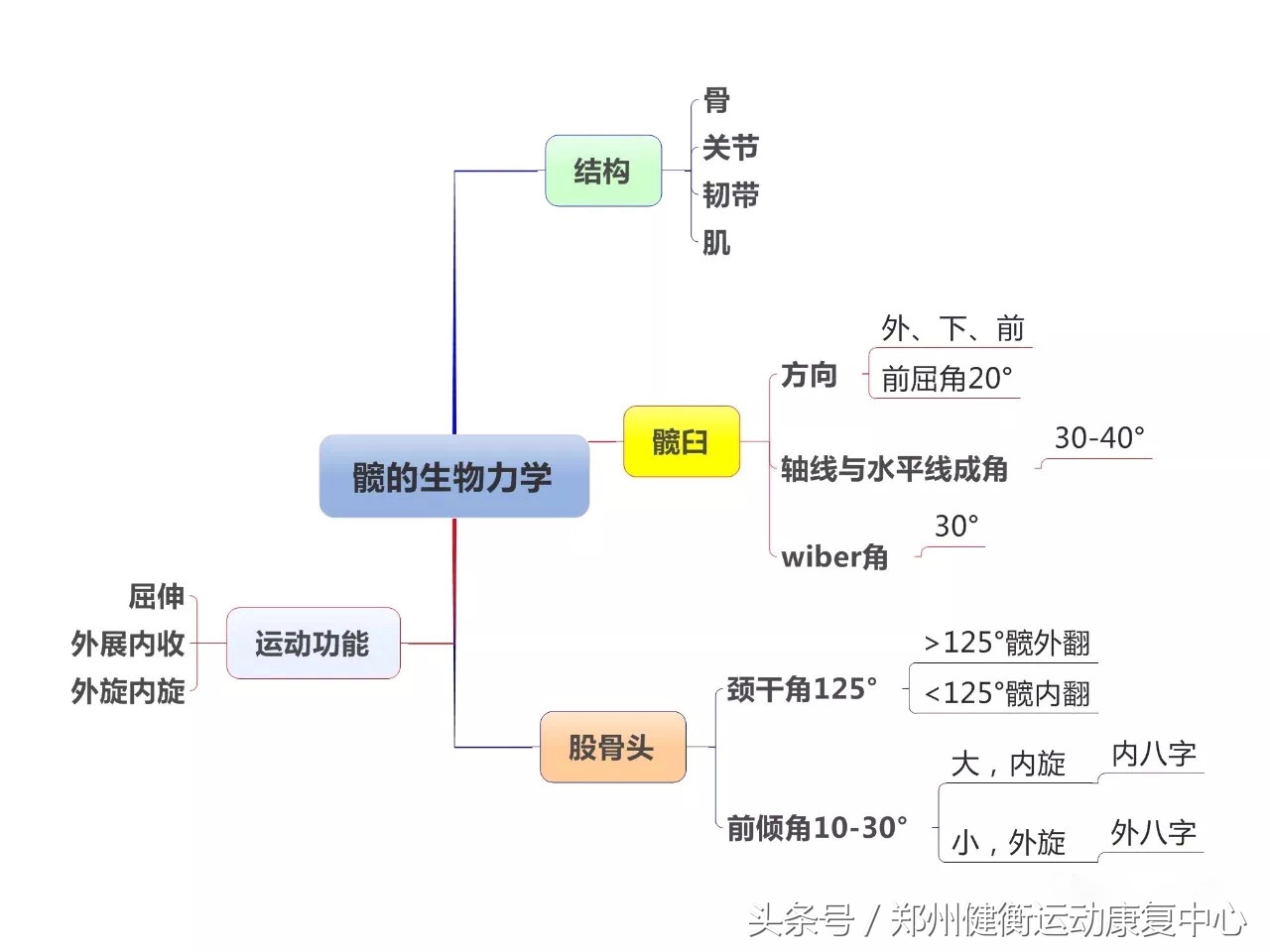 康复治疗技术专业职业思维导图,康复工程知识点思维导图