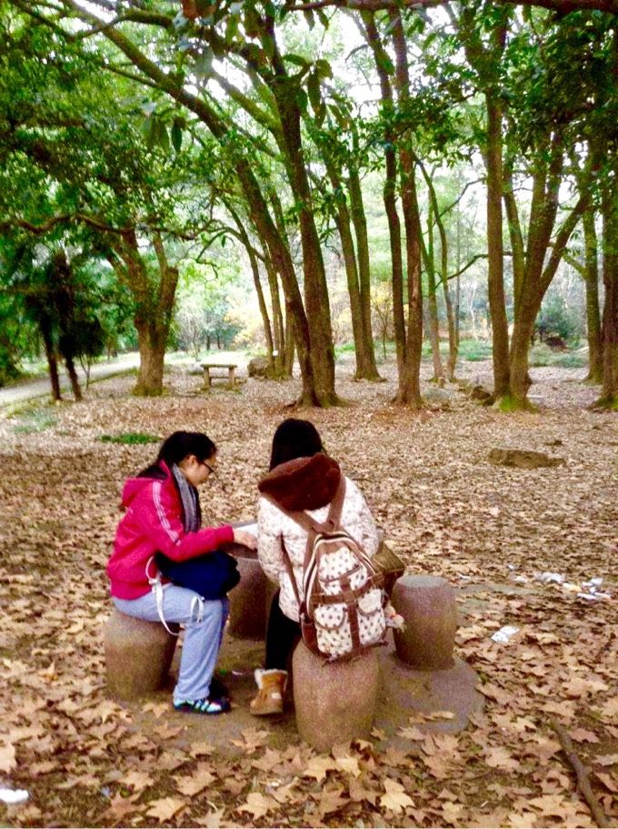 十大最美校园深圳大学,探访最美大学武汉大学