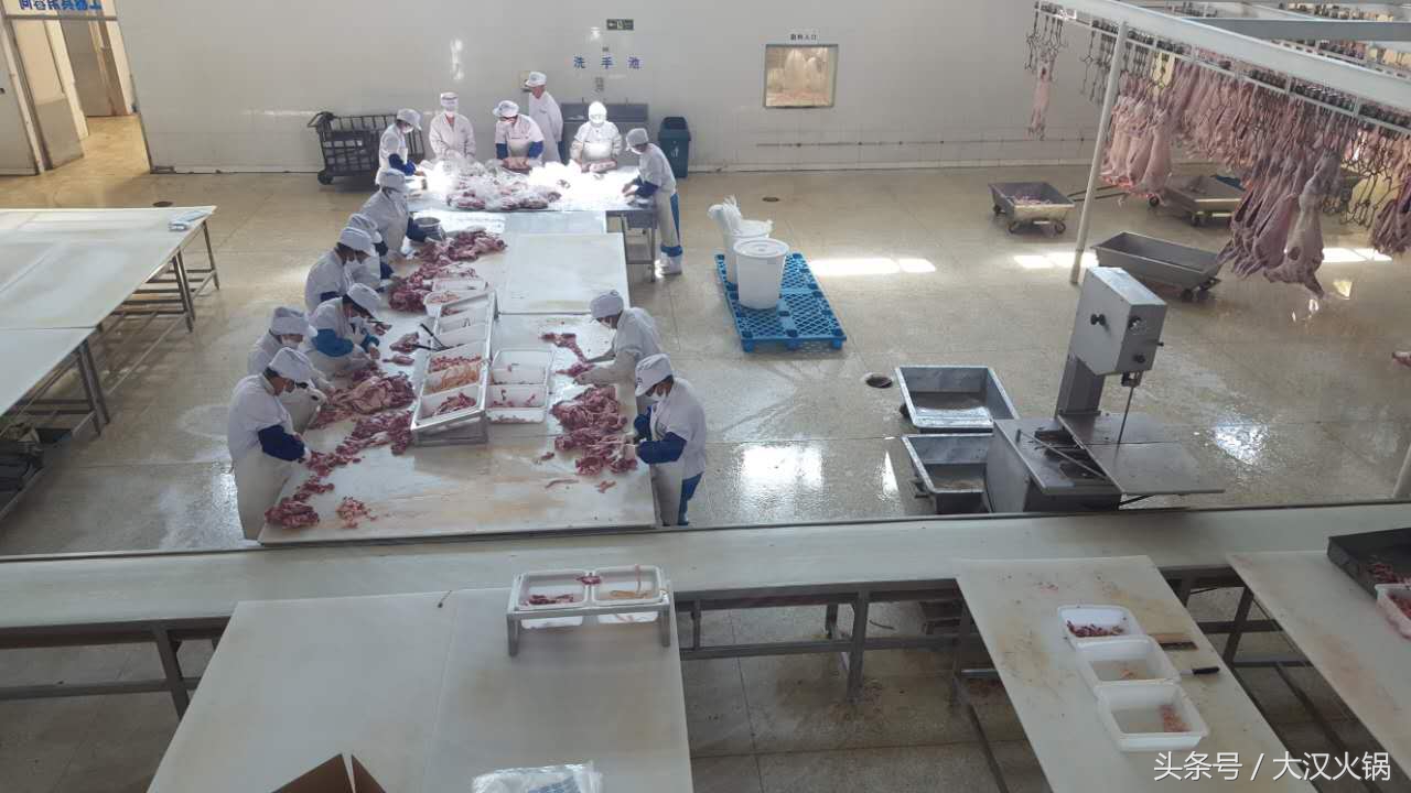 内蒙古大草原正宗羊肉,内蒙古正宗草原羊肉