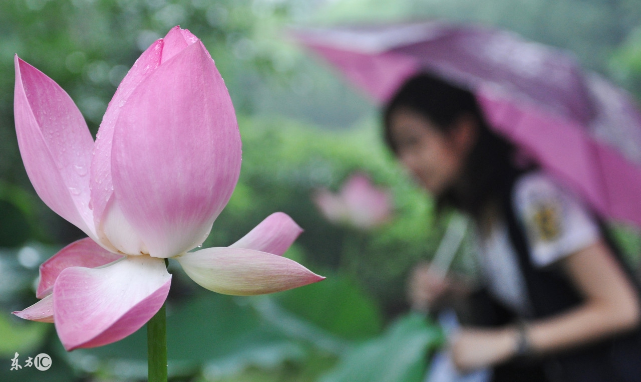 四六级必备的500个核心单词,500个基础的英语单词